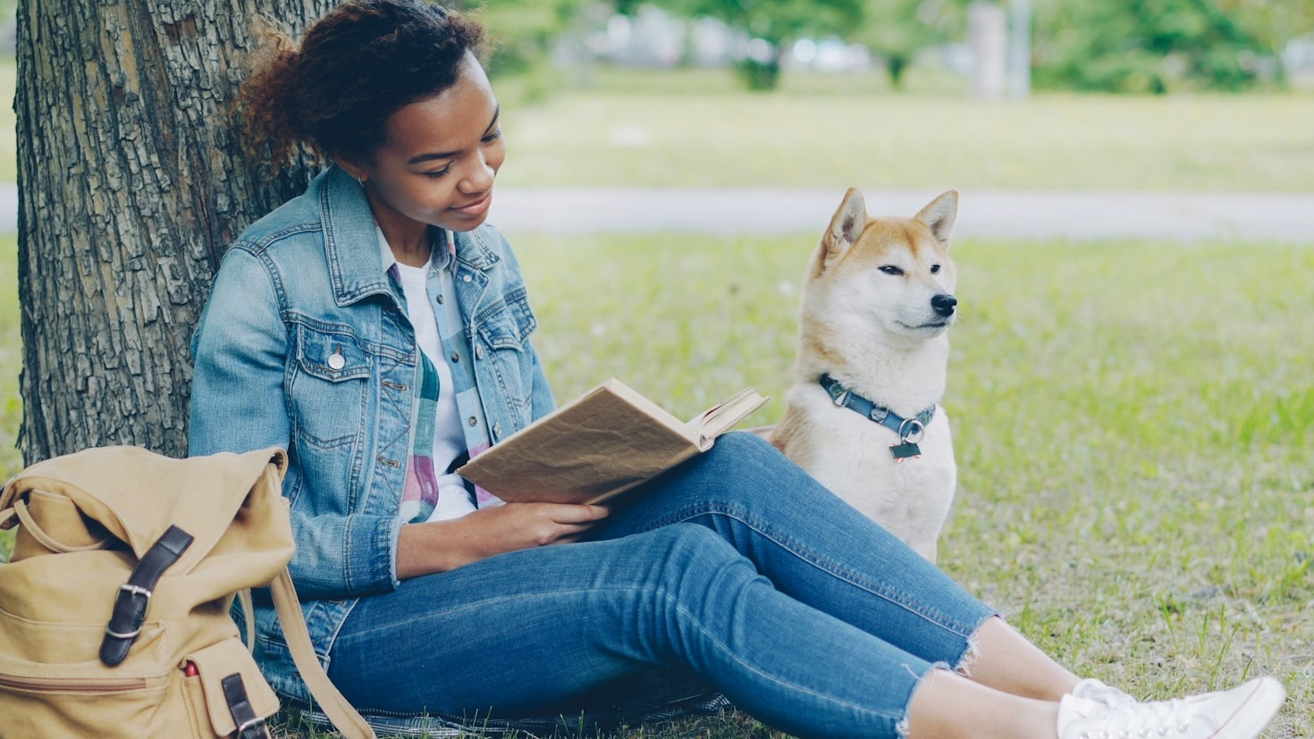 Ten Simple Ways to Improve Your Dog’s Daily Routine